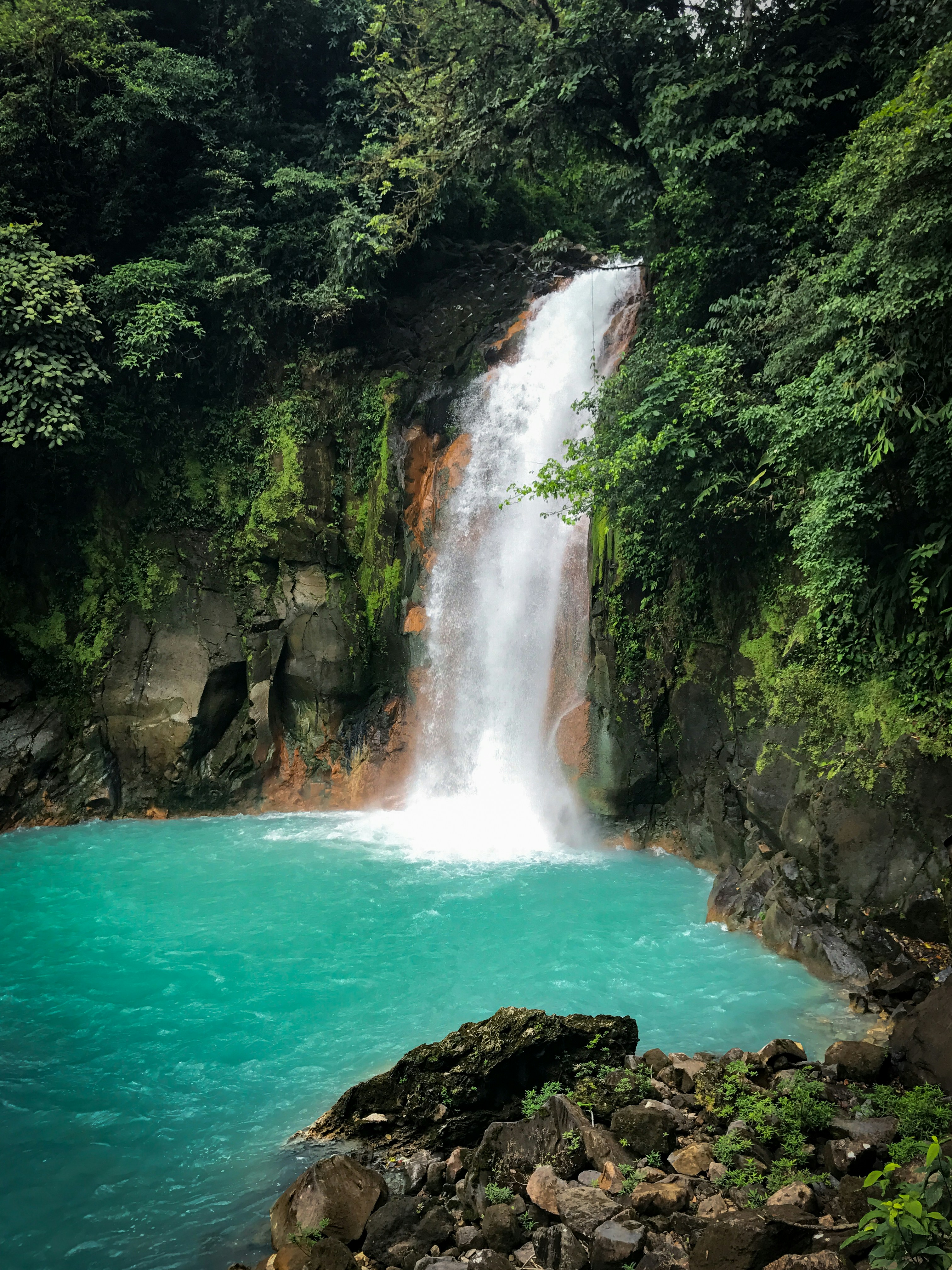 Costa Rica lush jungle and coastline
