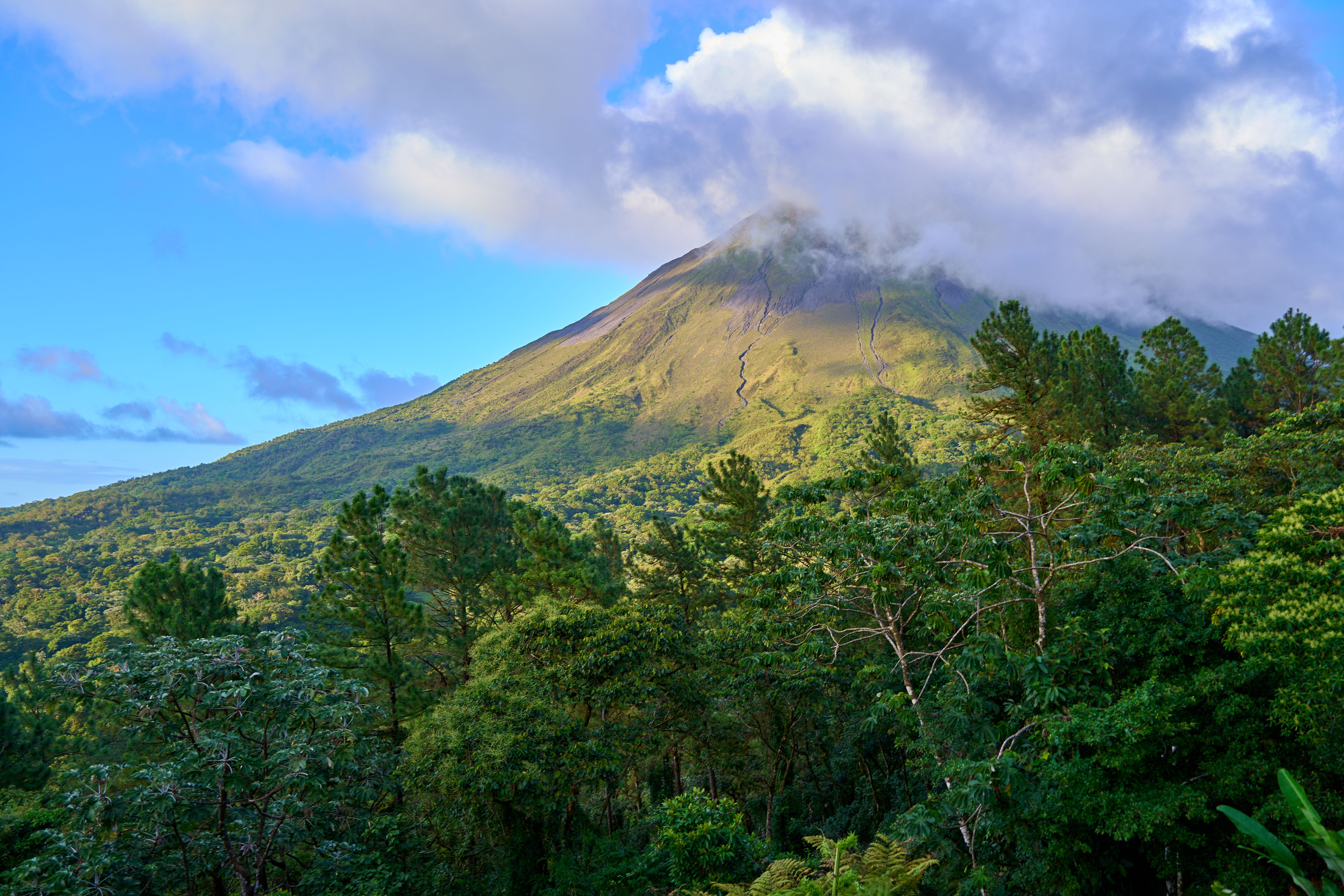 Costa Rica beach and jungle combination