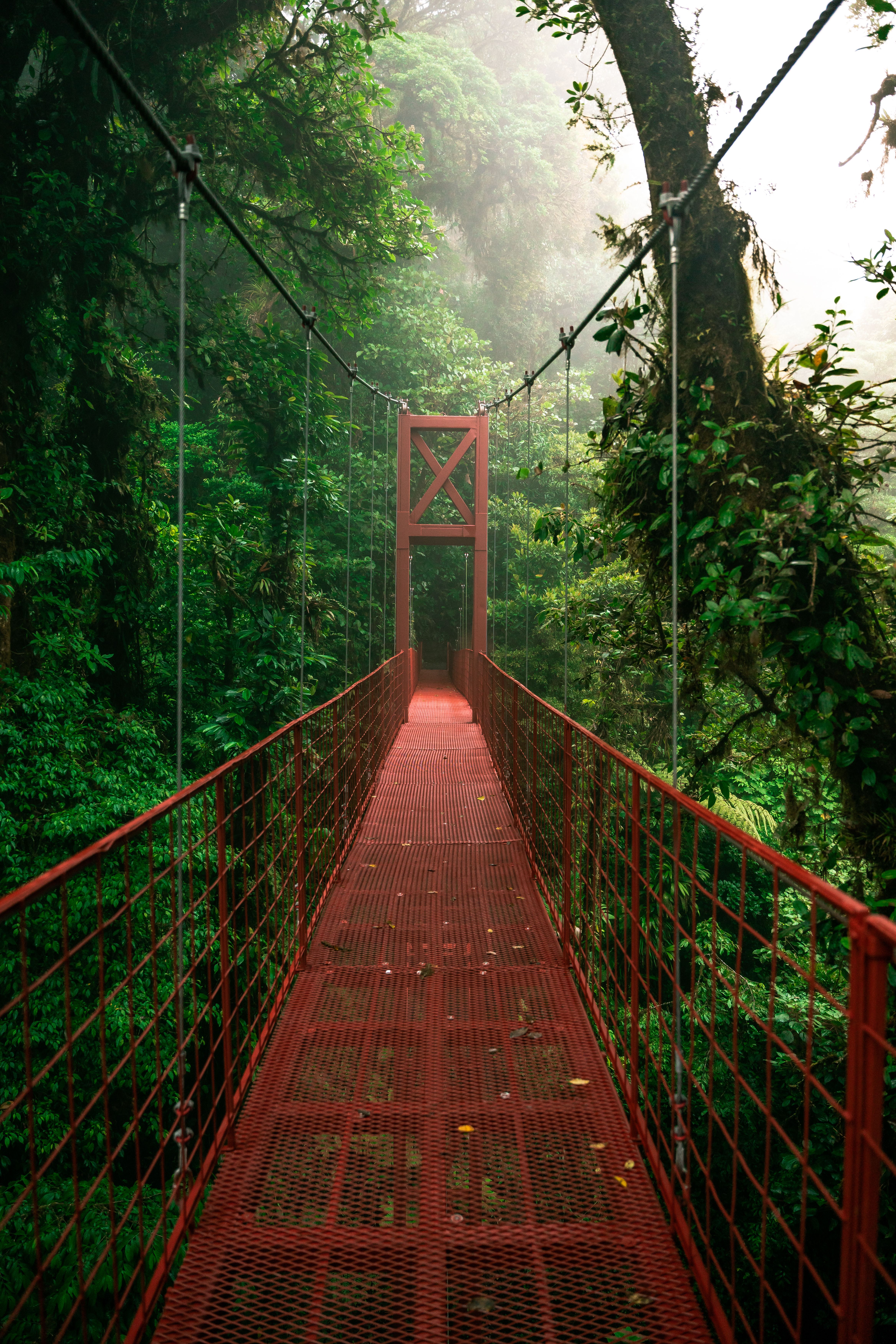 Costa Rica travel inspiration with coastline and rainforest