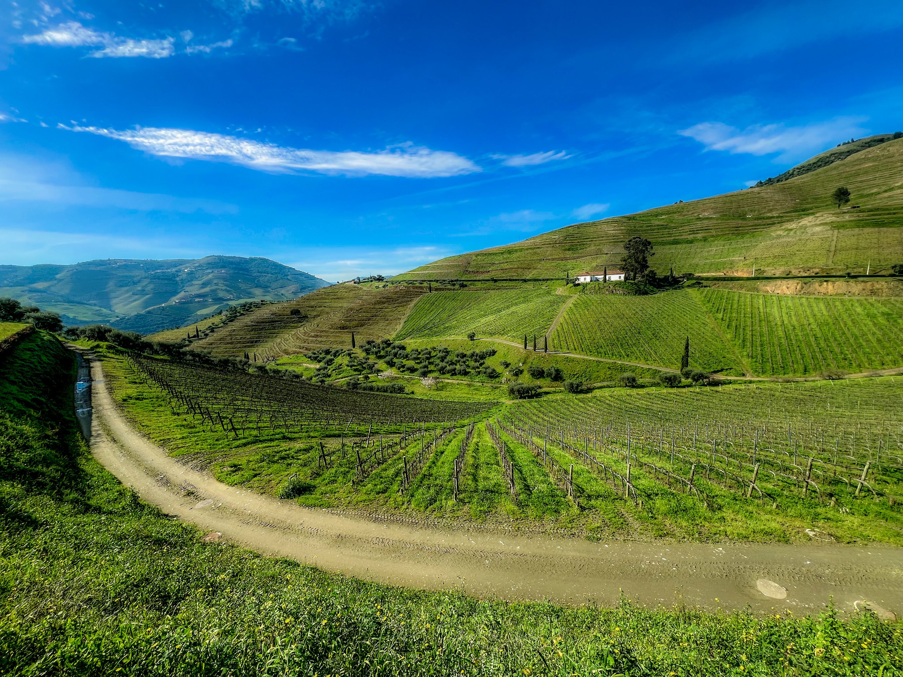 Douro Valley vineyards terraced hillsides Portugal