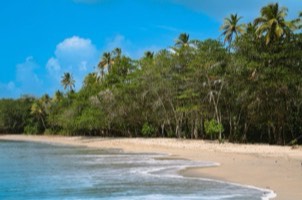 St. Lucia Sandals resort comparison