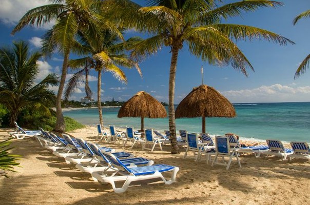 Palm trees and beach loungers at a turquoise Caribbean beach