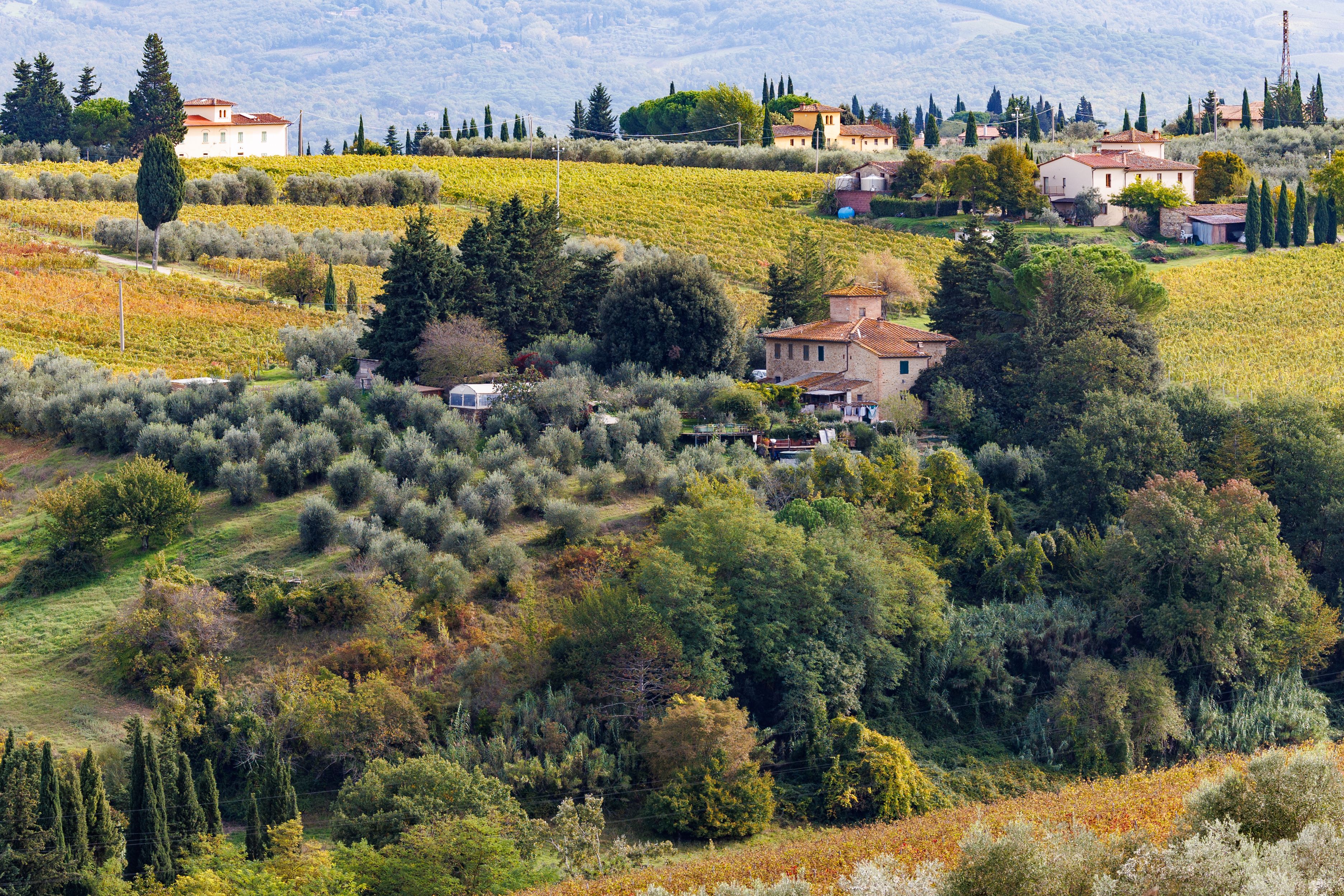Tuscany rolling hills villa vineyard